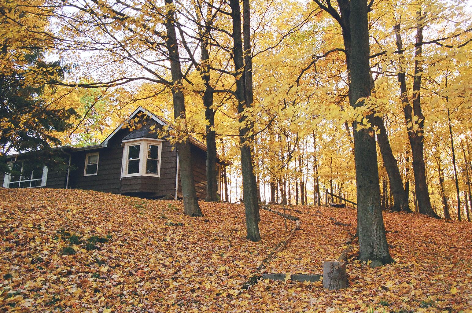 hunter college physical therapy prerequisites prn bodily therapy jobs dallas tx